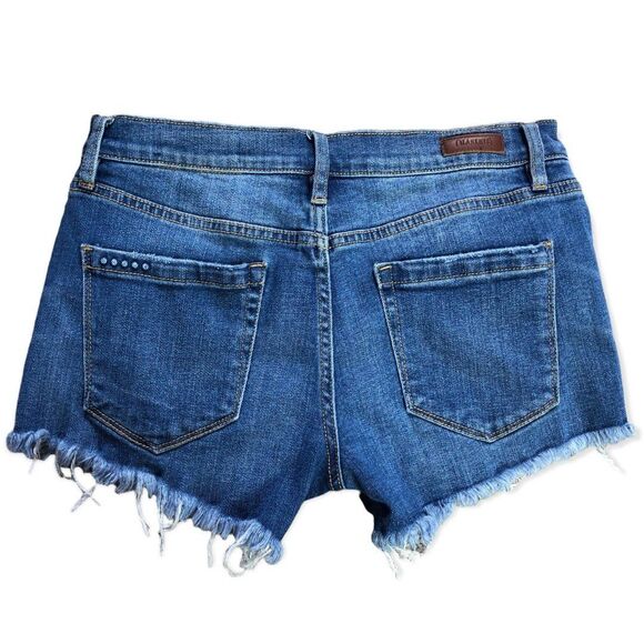 BlankNYC The Astor Distressed Cut Off Shorts 27 - Picture 3 of 5
